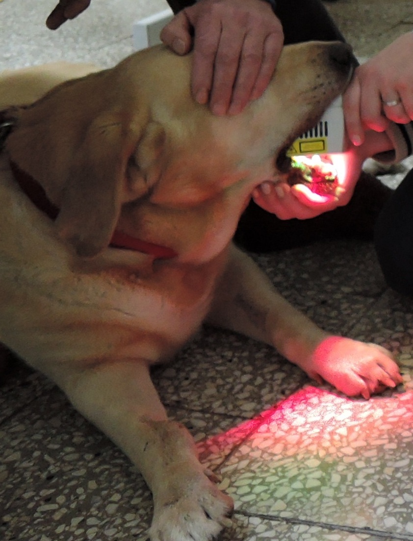 laserterapia psa
