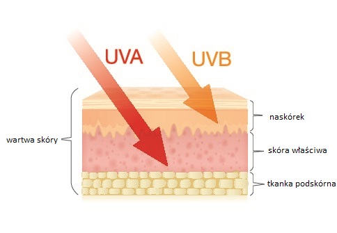 Promieniowanie UV